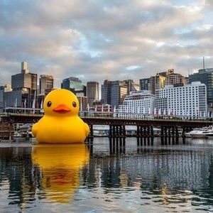 Meet your Posher, Peter